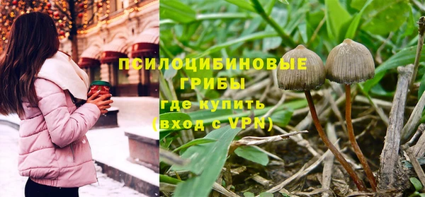 таблы Армянск