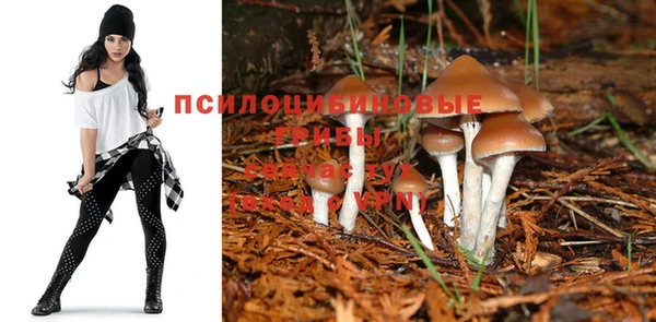 таблы Армянск
