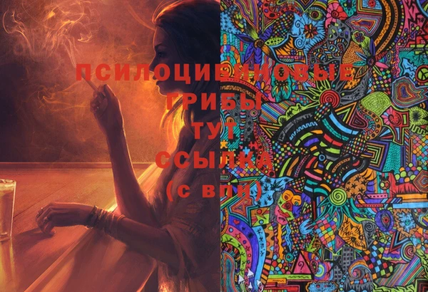 таблы Армянск