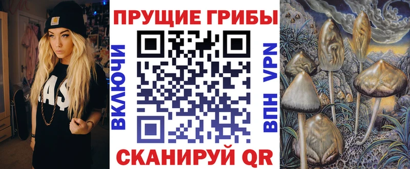 Галлюциногенные грибы Cubensis  Электрогорск 